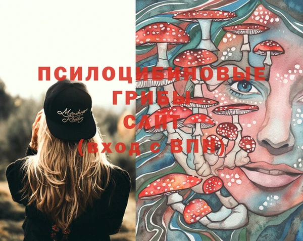 стаф Елизово
