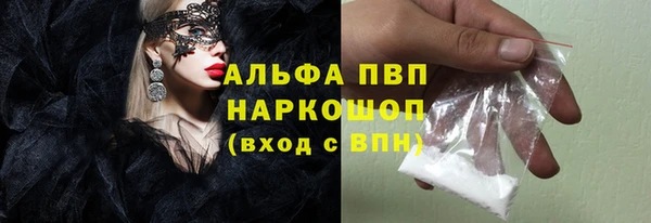 стаф Елизово