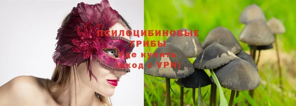 mdpv Ельня