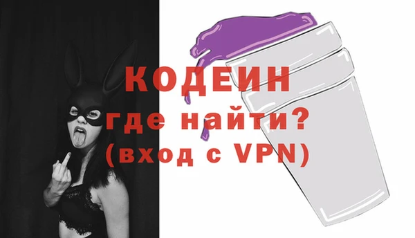 стаф Елизово