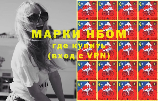 стаф Елизово
