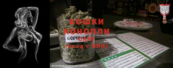 стаф Елизово
