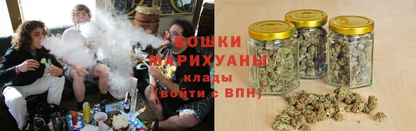 стаф Елизово